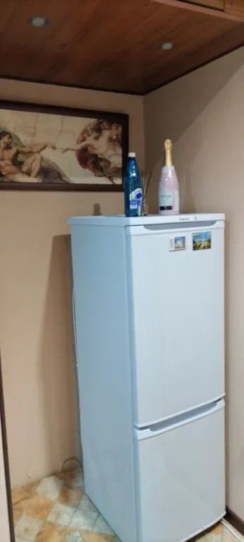 Уютная однушка в центре города