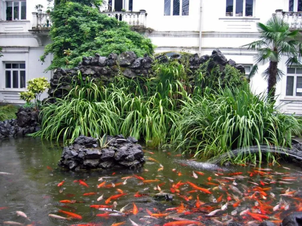 Уютная квартира в центре Старого Батуми (5 этаж).