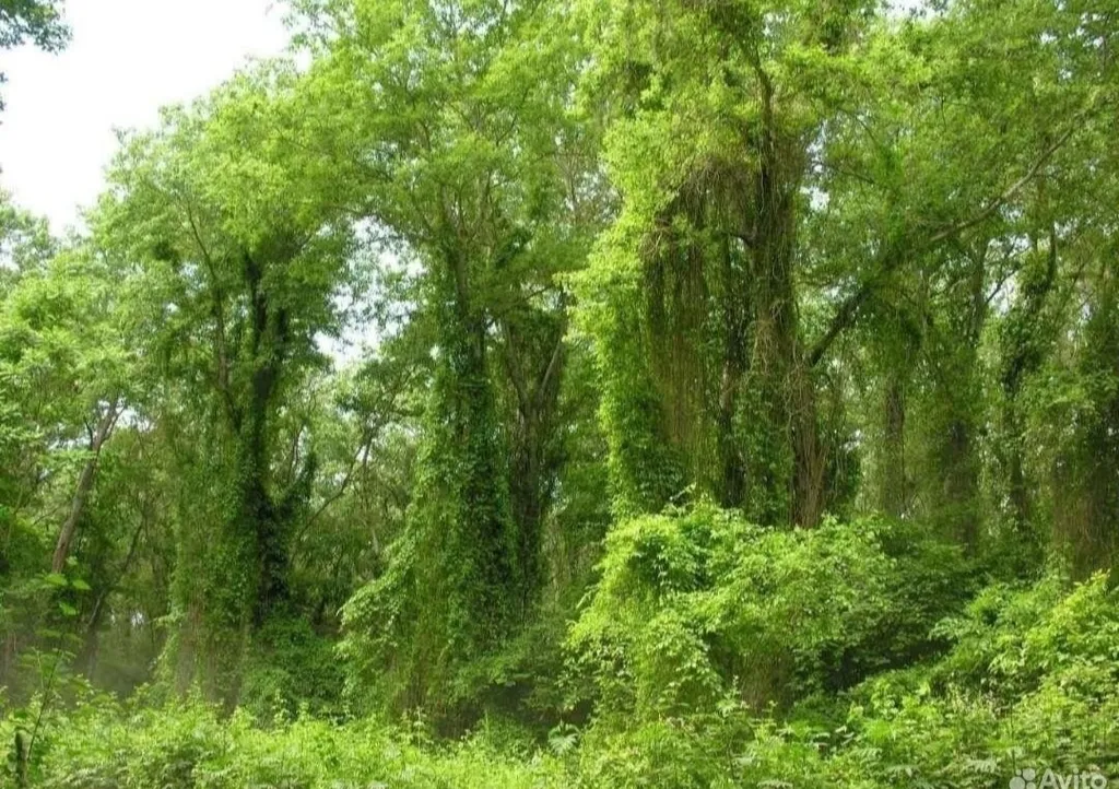 Дом отдыха Уютный уголок на берегу Каспийского моря