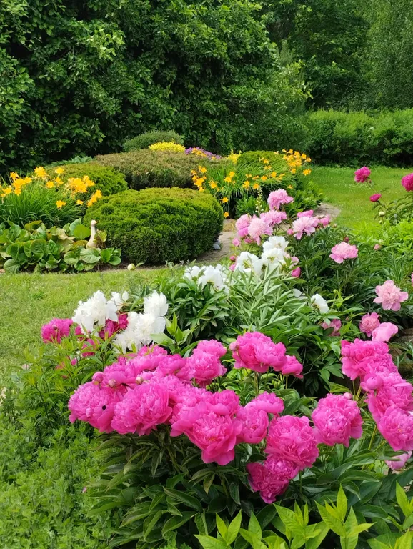 Дом под солнцем