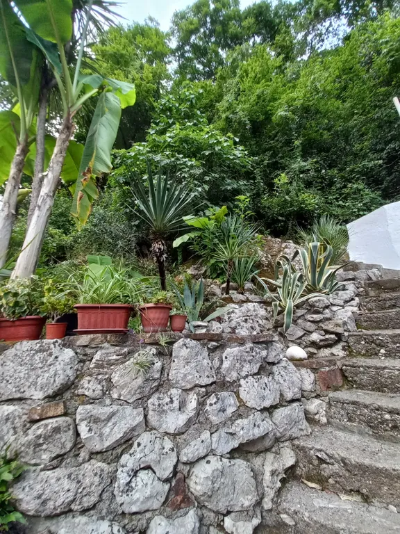 Коттедж Эко домик с парковкой рядом с горной рекой — Гагра