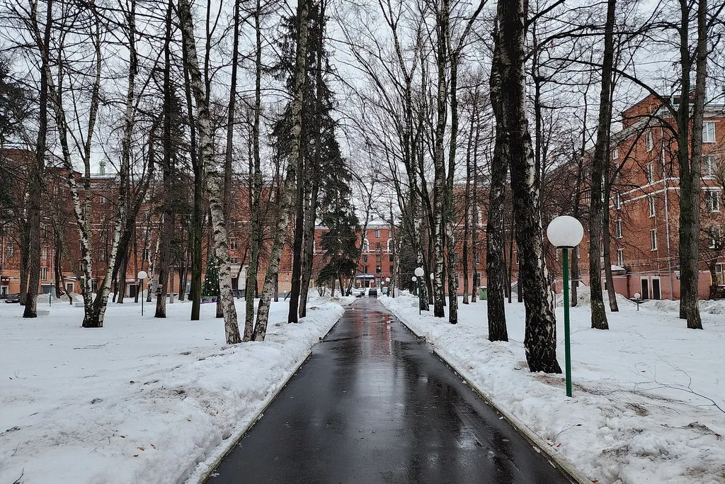 Студия рядом с парком