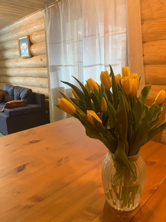 Дом из бревна