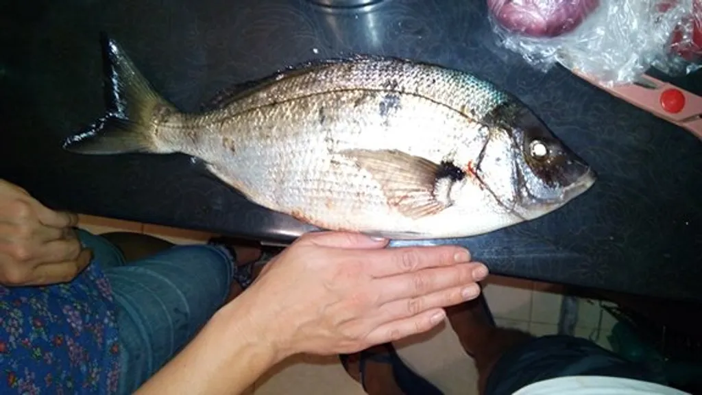 Апартаменты у самого моря (первая линия)