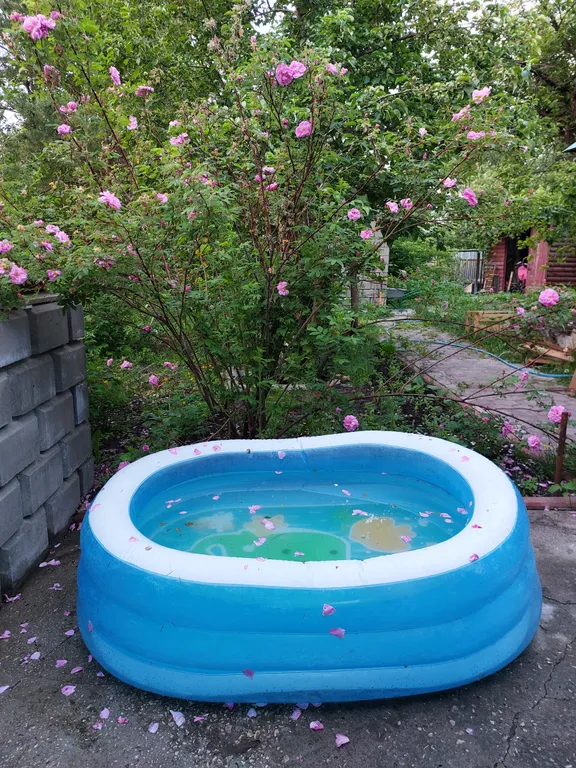 Уютный коттедж с камином и банькой