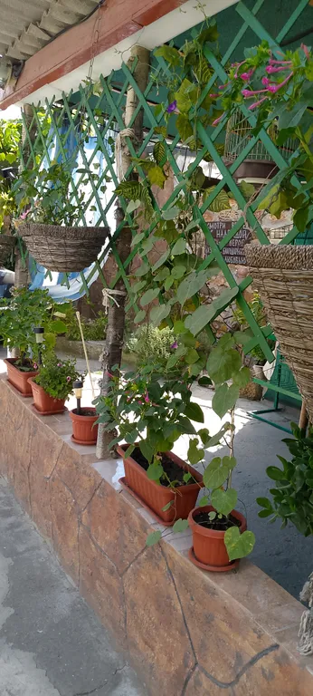 Радужный домик