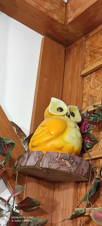 Коттедж Эко дом с баней и бассейнами рядом с Санкт-Петербургом — Кискелово