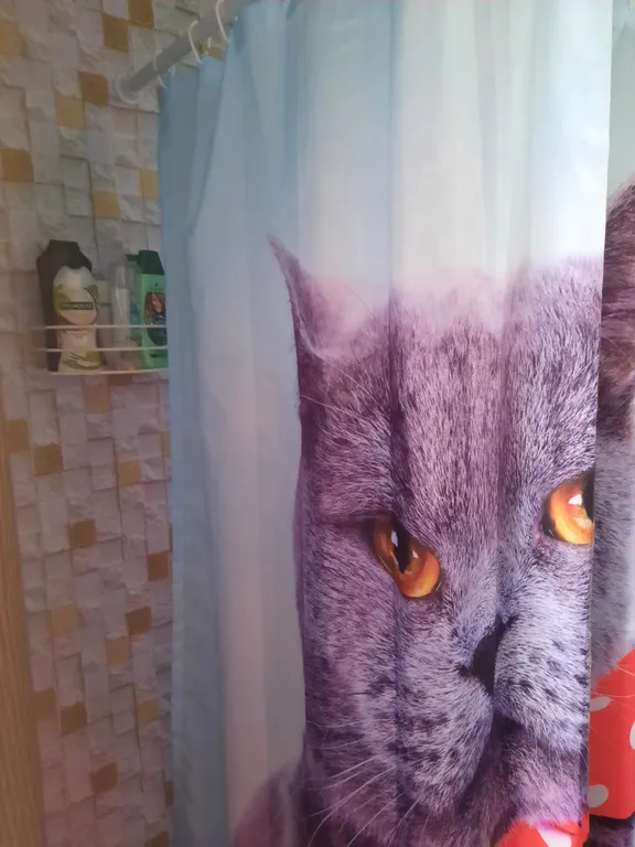 Не большая уютная квартира в частном деревянном доме финской постройки