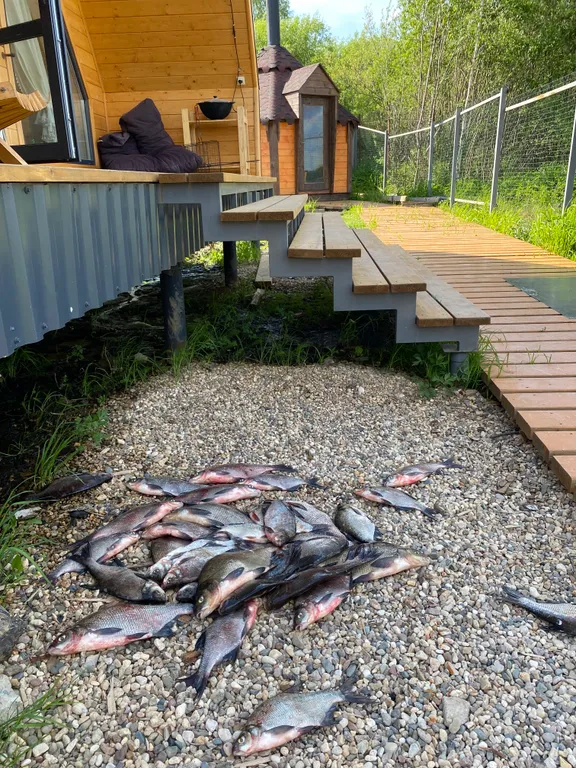 Домик  А-фрейм на берегу Волги