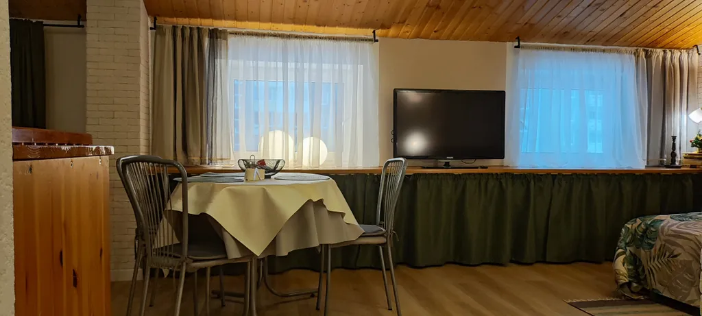 Квартира в мансарде с сауной