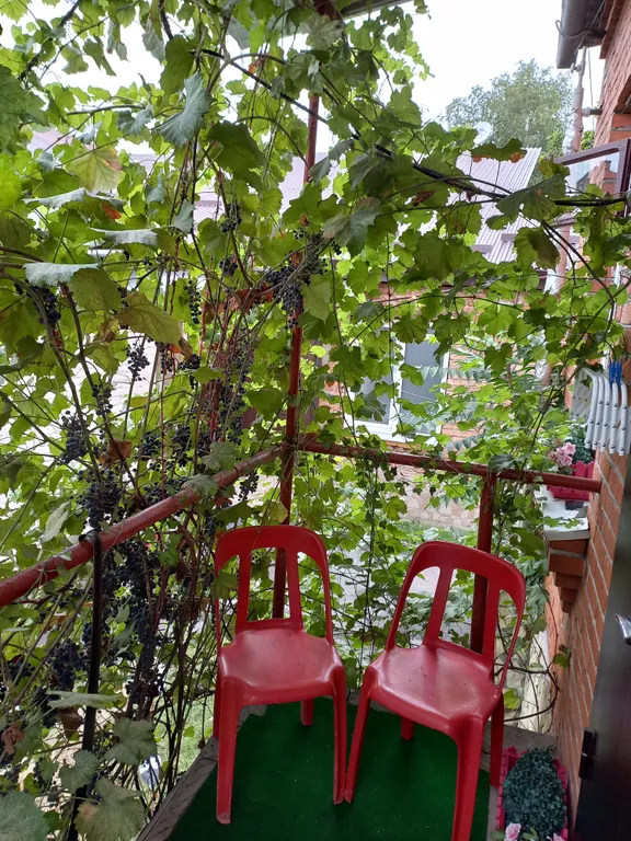 Светлая, чиста квартира в центре Владикавказа. Парковки во дворе  нет.