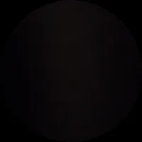 Валентина Ильина