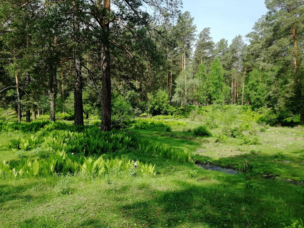 Семейная усадьба Мой рай