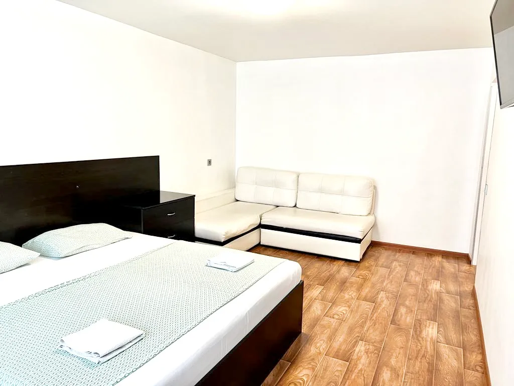 1-комнатный апартамент в центре