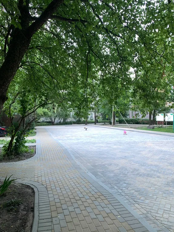 Квартира Уютная квартира в центре города, в зеленом районе — Калининград
