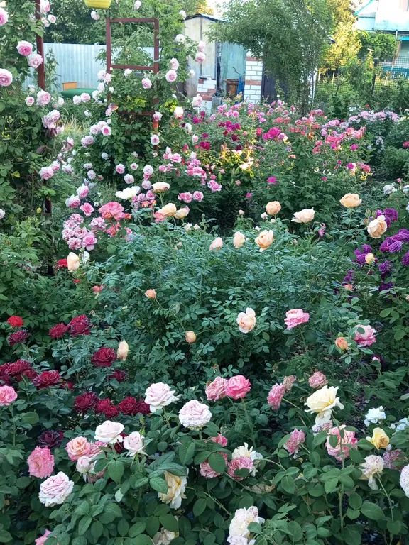 Уютная дача посуточно для семейного отдыха, ночлега