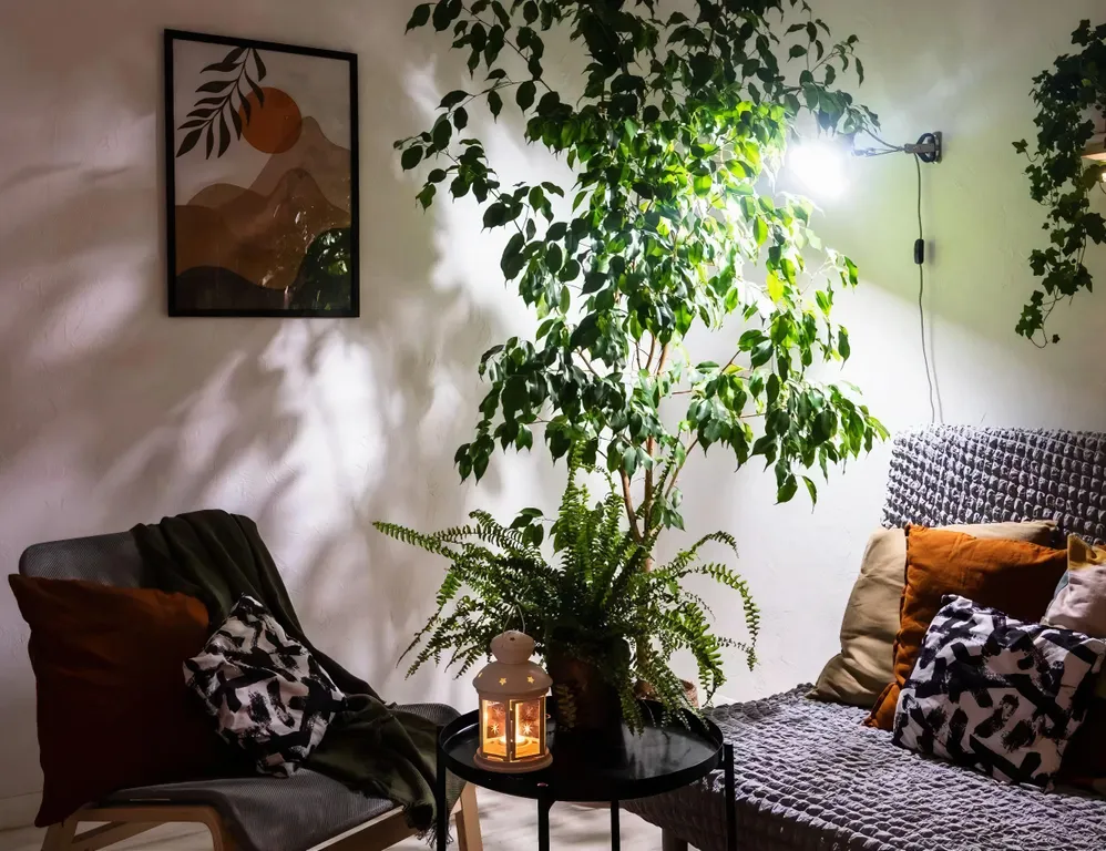 Квартира Квартира Апартамент Boho Style в самом центре Сочи — Сочи