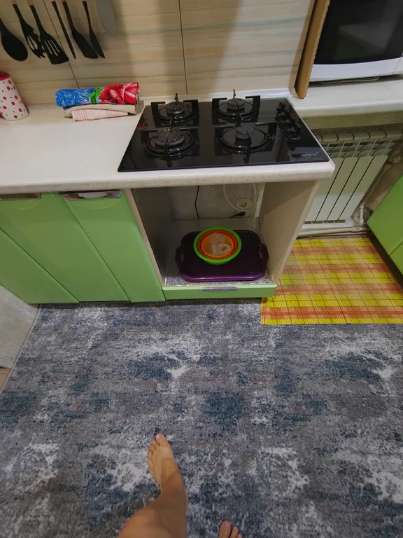 3-комнатная квартира с двориком