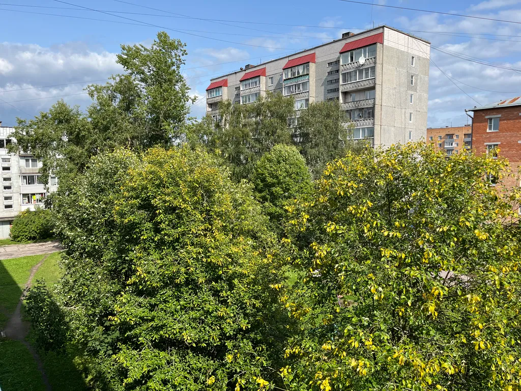 Квартира с новым ремонтом