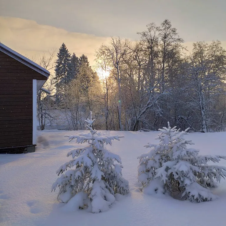 Коттедж Дом с террасой прямо на берегу реки — Торфяное
