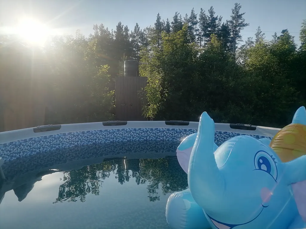 Домик в Бузулукском бору с баней и выходом в лес