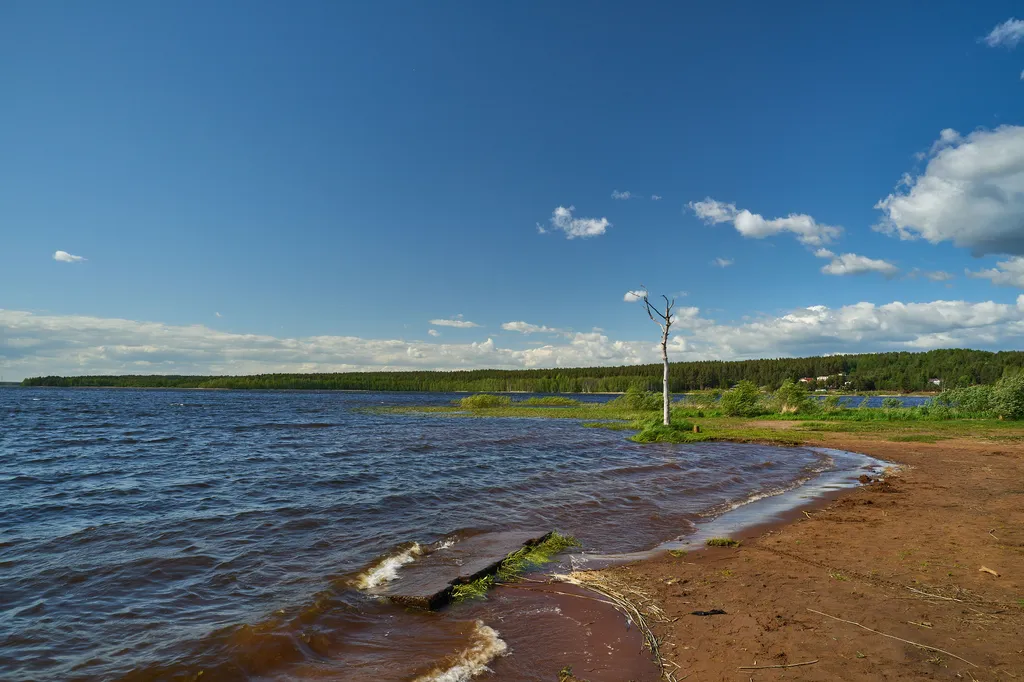 Коттедж Коттедж премиум - класса с сауной рестораном у леса — Коробицыно