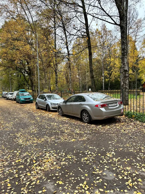 1-комнатная квартира рядом с клиниками Алмазова, Альмадея, Пульманалог