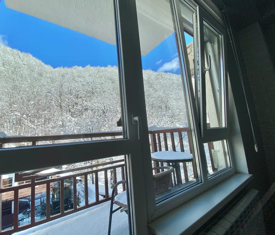 Квартира с балконом и видом