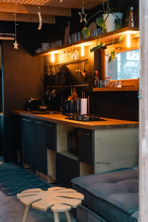 Коттедж Дом в лесу с горячей купелью — Горки (Лопухинское с/п)