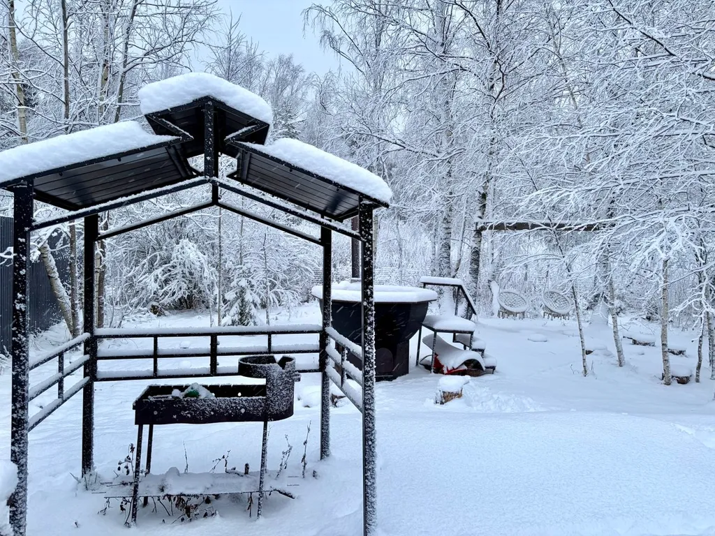 Домик с видом на лес