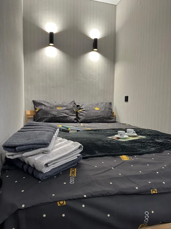 Квартира Комфортная студия с отличным ремонтом — аренда посуточно в Пенза