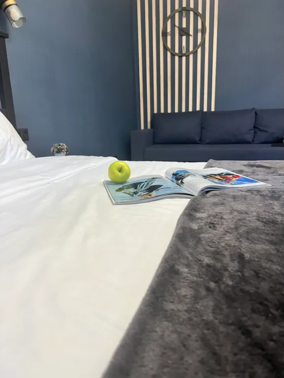 Удалённый check-in, электронный замок, центр, netflix + megogo