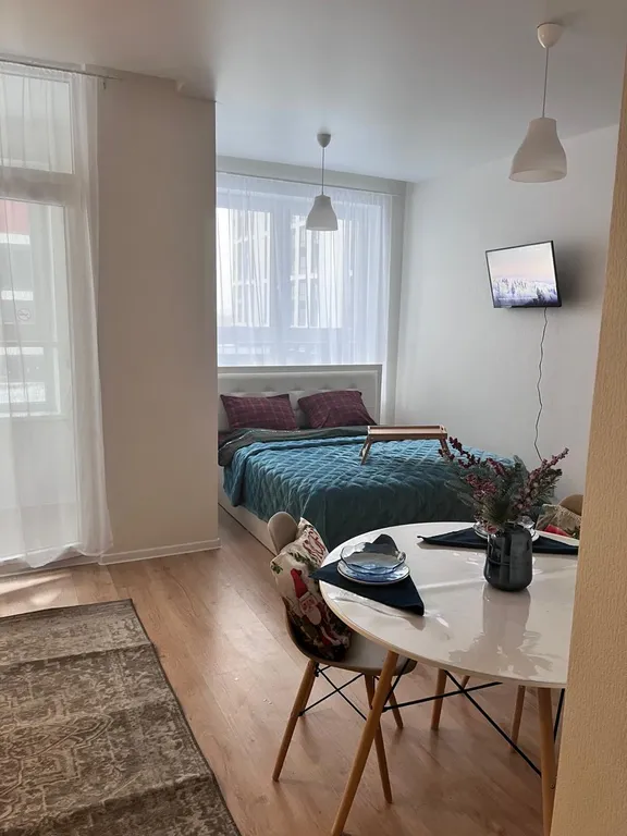 Уютная студия в тихом районе