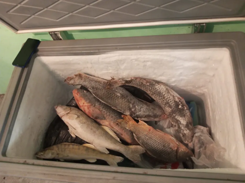 Апартамент для отдыха и рыбалки