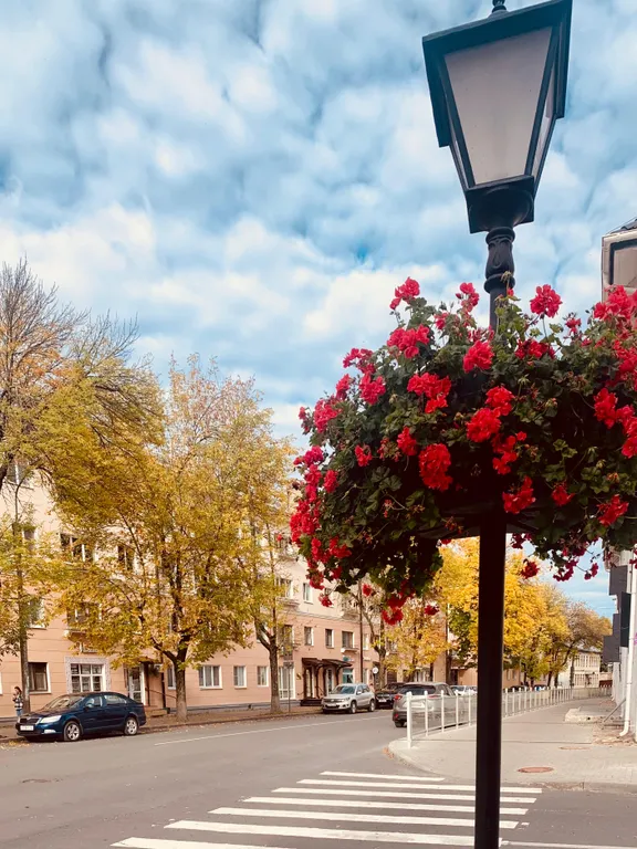 Квартира в центре с видом на музей