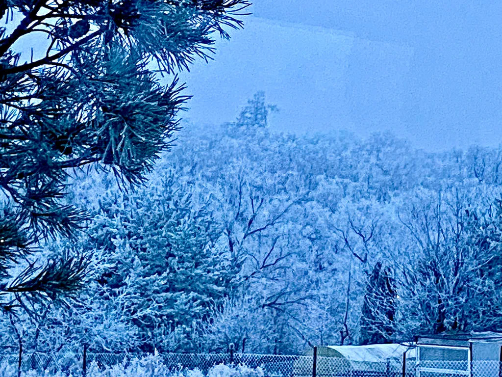 Уютный домик с видом на музей