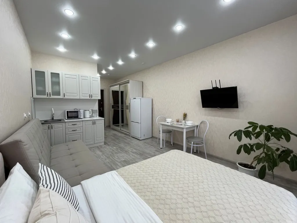 Студия на Мичурина рядом с Казначейством