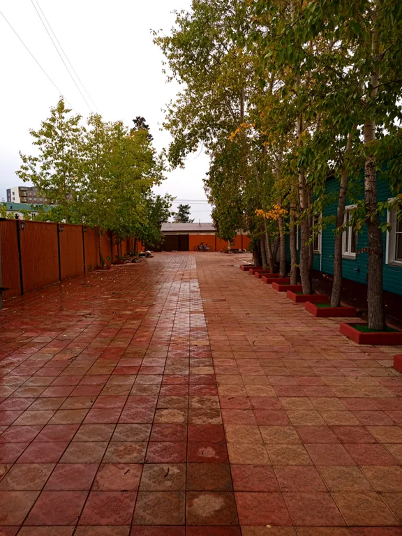 Двух - трёх местный Апартаменты №4