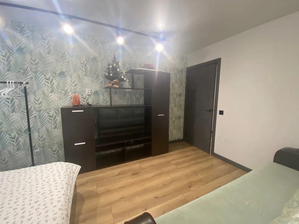 1-комнатная квартира у Александровской набережной