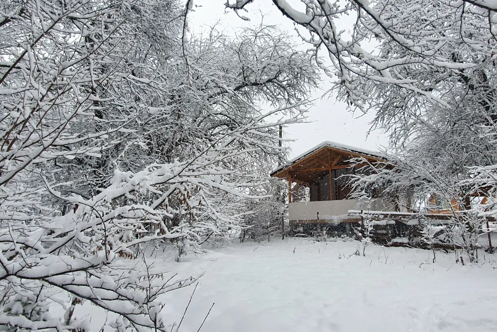 Коттедж Коттедж Сруб под пихтами — Мезмай