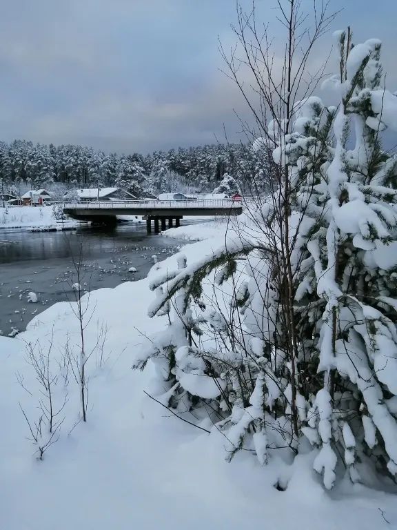 Дом на берегу реки