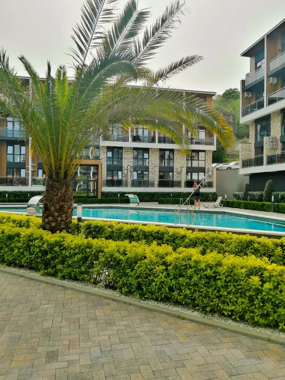 Уютная студия с видом на лес