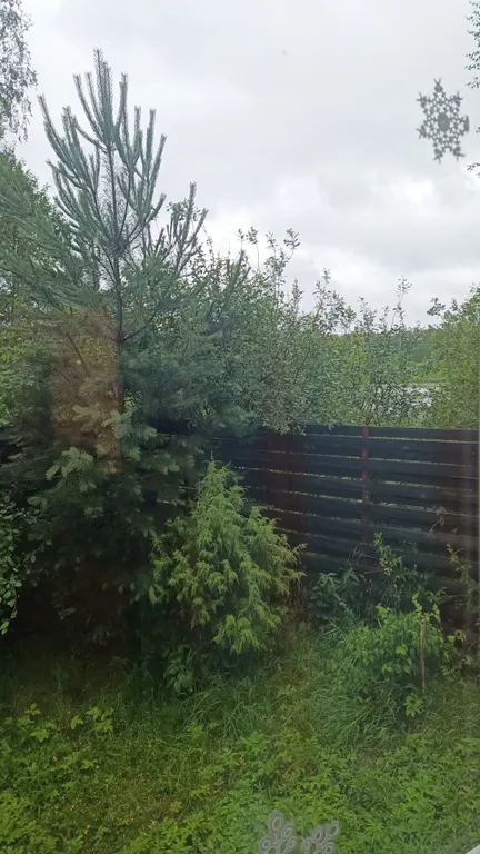 Дом на берегу Вышневолоцкого водохранилища