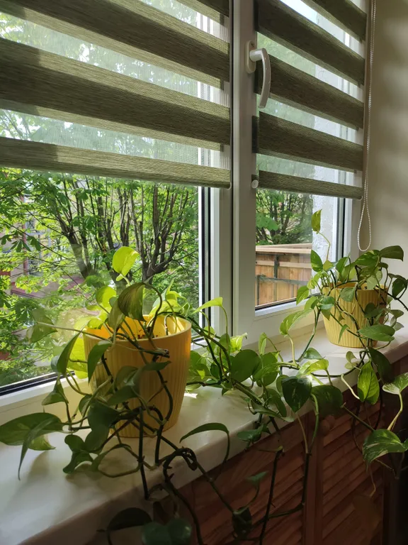 Квартира Квартира Уютная евродвушка Rotko Home — Калининград