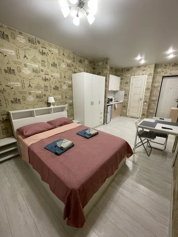 Квартира Просторная светлая студия — аренда посуточно в Химки