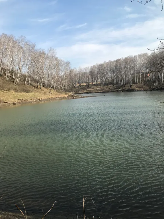 Коттедж 2-комнатный Дом — Новосибирск