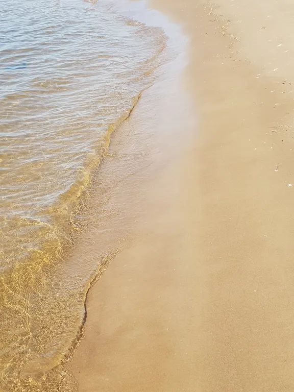 2-комнатная квартира в центре города