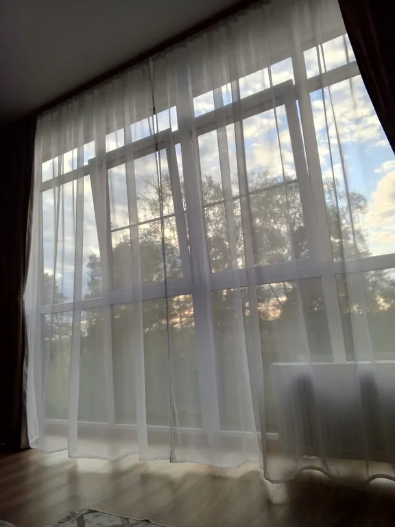 Апартаменты в сосновом лесу