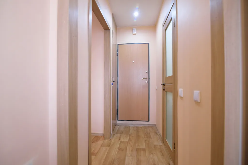 Уютная однокомнатная квартира около аэропорта Толмачево