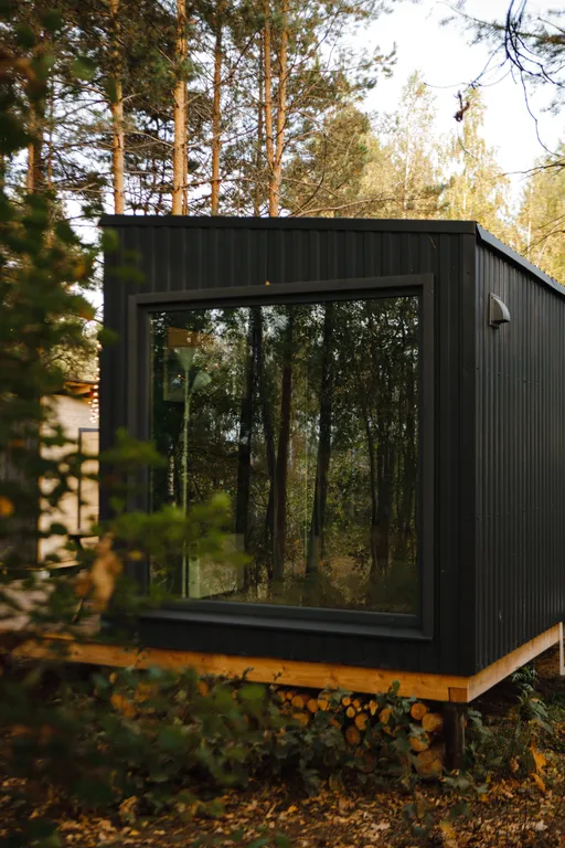 Дом Скандинавия Лес